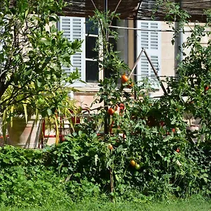  Bed & Breakfast Les Passiflores